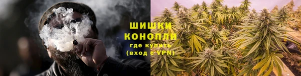 трава Дмитриев
