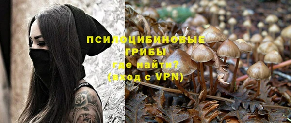 круглые Дмитровск