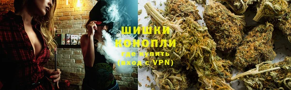 PSILOCYBIN Дмитров