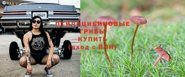 круглые Дмитровск