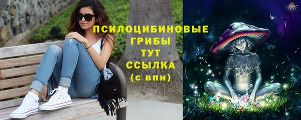PSILOCYBIN Дмитров