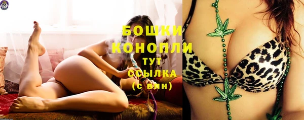 PSILOCYBIN Дмитров