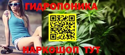 индика Комсомольск-на-Амуре