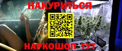 индика Комсомольск-на-Амуре