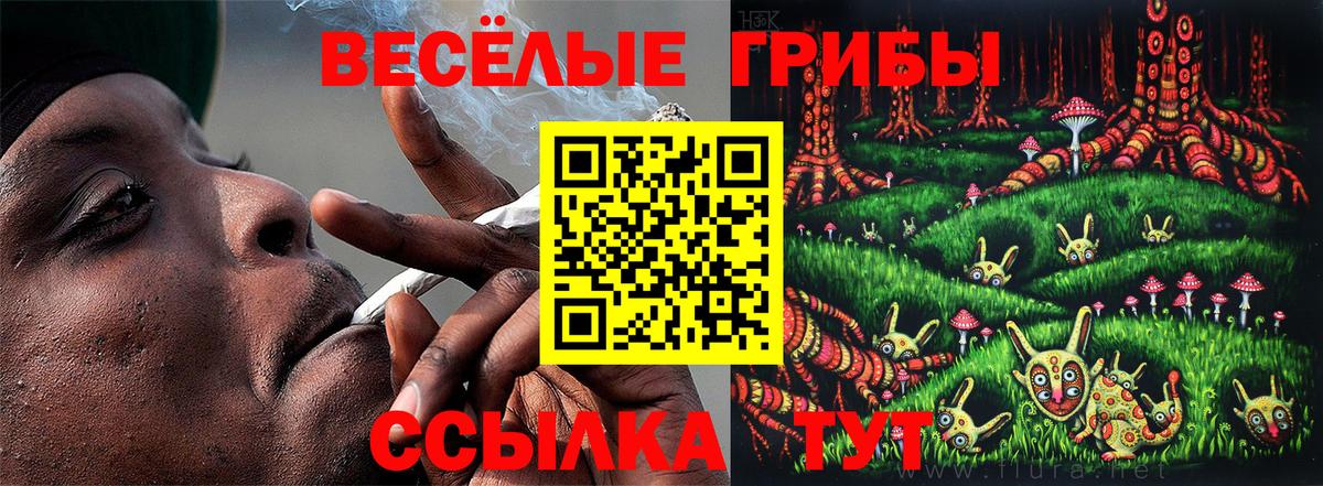 наркота  Вход с VPN  Псилоцибиновые грибы ЛСД  Реж  Псилоцибиновые грибы Magic Shrooms 